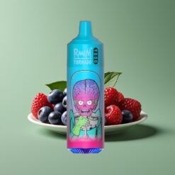 Blauwe Bes Framboos Groothandel Belgium RandM Fumot Tornado 9000 Puffs Mesh Coil