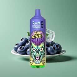 Blauwe Bes Ijs Groothandel Belgium RandM Fumot Tornado 9000 Puffs Mesh Coil