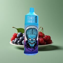 Blauwe Bes Kers Veenbes Groothandel Belgium RandM Fumot Tornado 9000 Puffs Mesh Coil