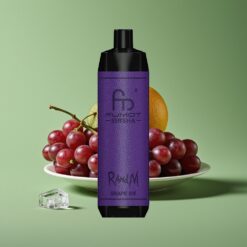 Druiven Ijs Groothandel Belgium RandM Fumot Shisha 10000 Puffs Type-C Port