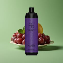 Druiven Munt Groothandel Belgium RandM Fumot Shisha 10000 Puffs LED Indicator