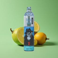 Koel Munt Groothandel Belgium RandM Fumot Tornado 7000 Puffs Mesh