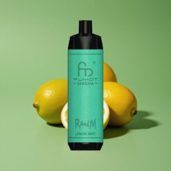 Limoen Munt Groothandel Belgium RandM Fumot Shisha 10000 Puffs 0.6ohm Mesh Coil