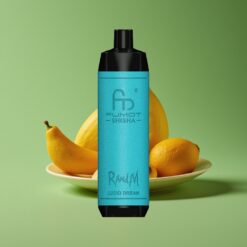 Lucid Droom Groothandel Belgium RandM Fumot Shisha 10000 Puffs Type-C Port