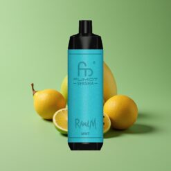 Munt Groothandel Belgium RandM Fumot Shisha 10000 Puffs Type-C Port