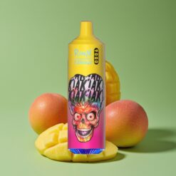 Perzige Mango Ananas Groothandel Belgium RandM Fumot Tornado 9000 Puffs Mesh Coil