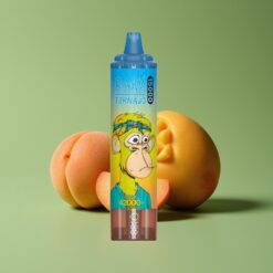 Perzik Mango Groothandel Belgium RandM Fumot Tornado 15000 Puffs Mesh Coil