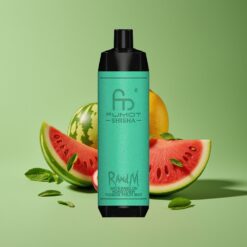 Watermeloen Honingmeloen Passievrucht Munt Groothandel Belgium RandM Fumot Shisha 10000 Puffs Type-C Poort