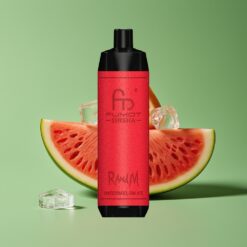 Watermeloen IJs Groothandel Belgium RandM Fumot Shisha 10000 Puffs Type-C Port