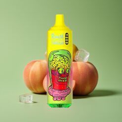 Zomerse Perzik IJs Groothandel Belgium RandM Fumot Tornado 9000 Puffs Mesh Coil