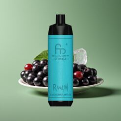 Zwarte Bes IJs Groothandel Belgium RandM Fumot Shisha 10000 Puffs 0.6ohm Mesh Coil