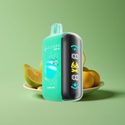 Groothandel Belgium ELF BAR RAYA 25000 Puffs Alpen Munt Wegwerp Vape Groot Scherm