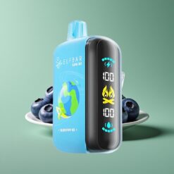 Groothandel Belgium ELF BAR RAYA 25000 Puffs Blauwe Bes IJs Wegwerp Vape Groot Scherm