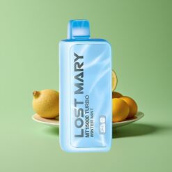 Groothandel Belgium Lost Mary MT15000 15000 Puffs Winter Munt NORMAL EDITION